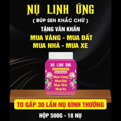 nụ-ước-nguyện-4-mặt-mua-may-bán-đăt-_2_-min